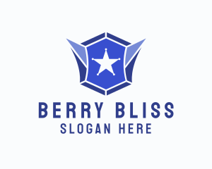 Geometric Gem Star Crest logo design