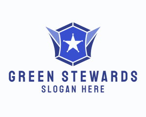 Geometric Gem Star Crest logo design