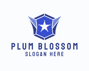 Geometric Gem Star Crest logo design