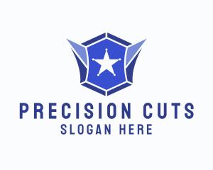 Geometric Gem Star Crest logo design