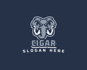 Furious Elephant Esport logo design