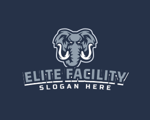 Furious Elephant Esport logo design