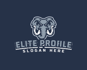 Furious Elephant Esport logo design