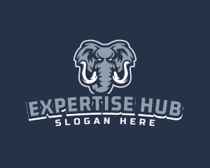 Furious Elephant Esport logo design