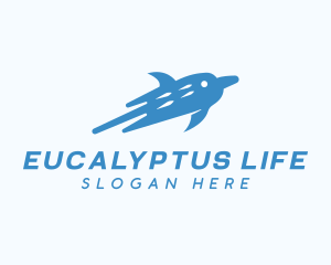 Blue Dolphin Aquarium logo