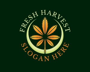 Dried Cannabis Leaf logo design