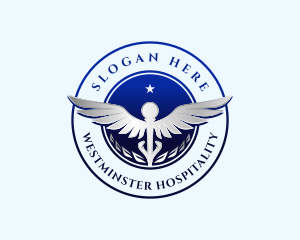 Medical Caduceus Healthcare logo design