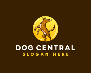 Canine Dog Ball logo design