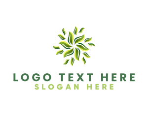 Botanical Organic Leaf logo