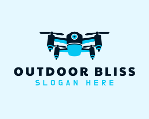 Blue Drone Surveillance logo design