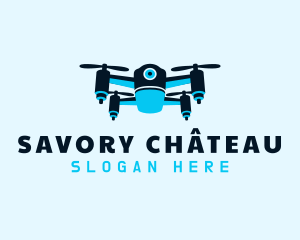 Blue Drone Surveillance logo design