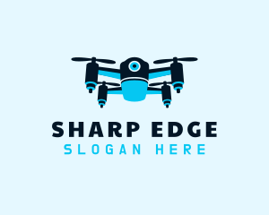 Blue Drone Surveillance logo design