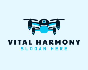 Blue Drone Surveillance logo design