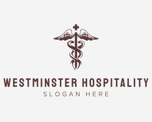 Medical Health Caduceus  logo design