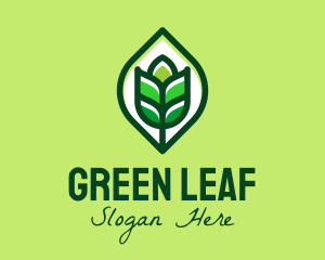 Green Plant Organic logo