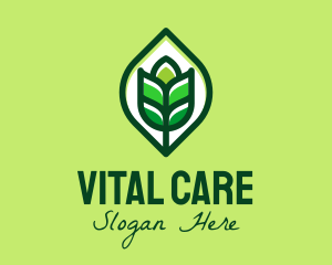 Green Plant Organic logo