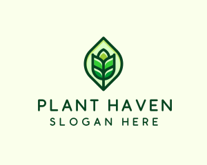 Green Plant Organic logo design