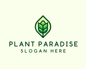 Green Plant Organic logo design