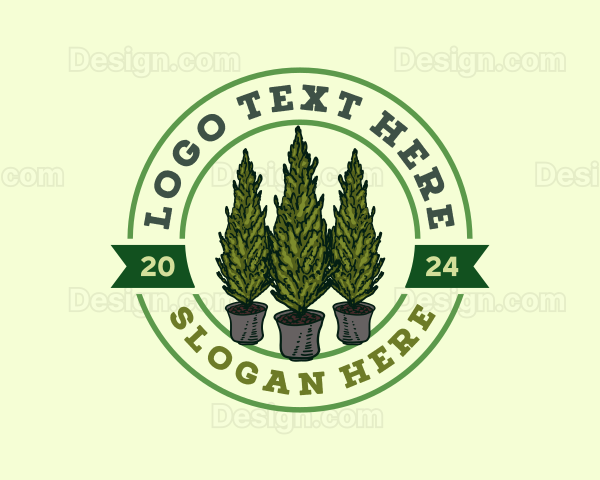 Greece Cypress Plant Logo