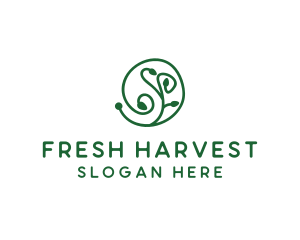 Green Organic Plant logo design