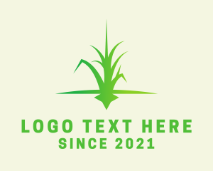 Grass Lawn Care logo