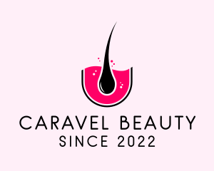 Beauty Hair Follicle logo design