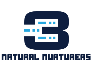 Data Servers Number Three Logo