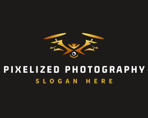 Flying Drone Photography logo design