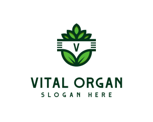 Organic Leaves Botany logo design