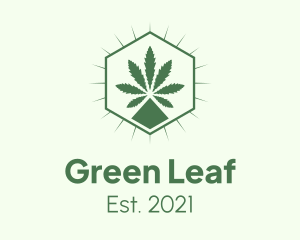 Weed Dispensary Hexagon logo design