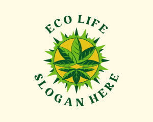 Solar Botanical Hemp logo design