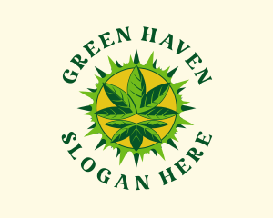 Solar Botanical Hemp logo design