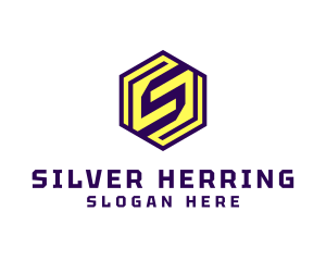 Modern Hexagon Letter S Company logo design