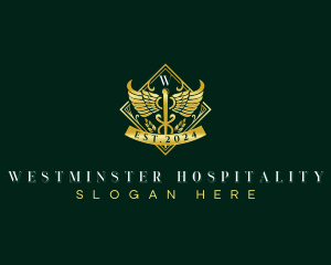 Medical Caduceus Hospital logo design