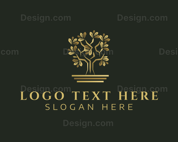 Golden Bonsai Tree Logo