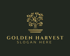 Golden Bonsai Tree logo design