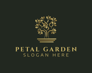 Golden Bonsai Tree logo design