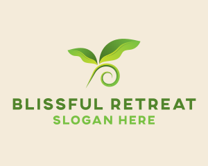 Natural Botanical Leaves Logo