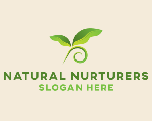 Natural Botanical Leaves logo design