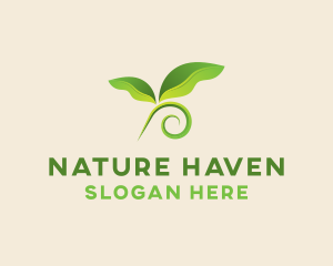 Natural Botanical Leaves logo design