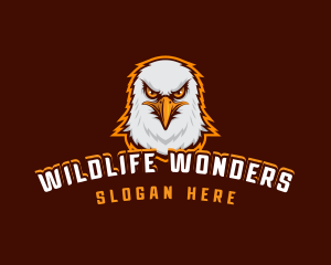 Wildlife Bird Eagle logo design