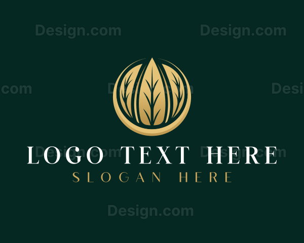 Botanical Natural Leaves Logo