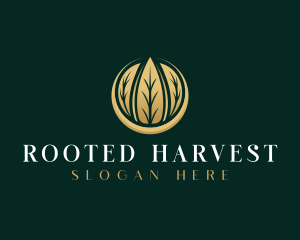 Botanical Natural Leaves logo design