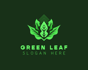 Plant Leaf Gardening logo design