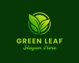 Green Plant Leaves logo design