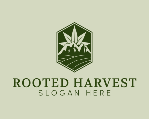 Agricultural Marijuana Farm logo design