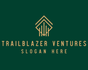 Venture Asset Management logo design