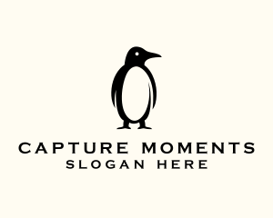 Wild Penguin Sanctuary logo