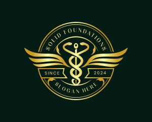 Caduceus Hospital Health logo