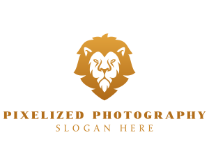 Premium Lion Wildlife logo design